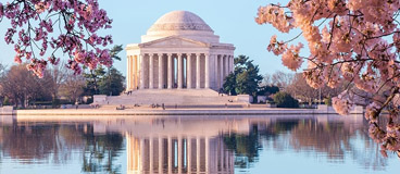 Washinton DC sightseeing Tour